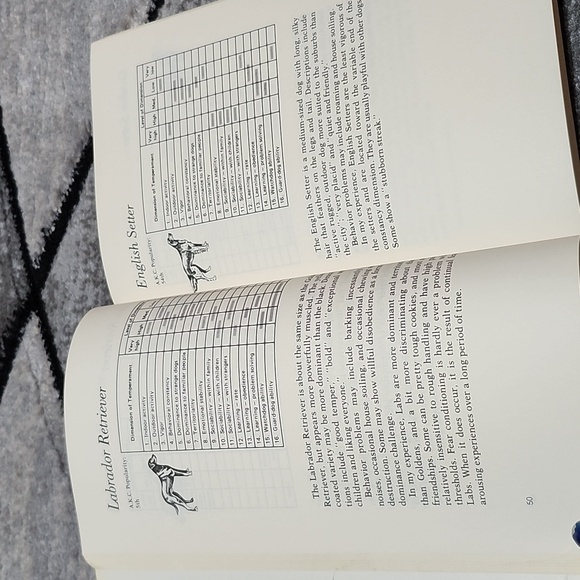 THE RIGHT DOG FOR YOU BOOK - Picture 6 of 8